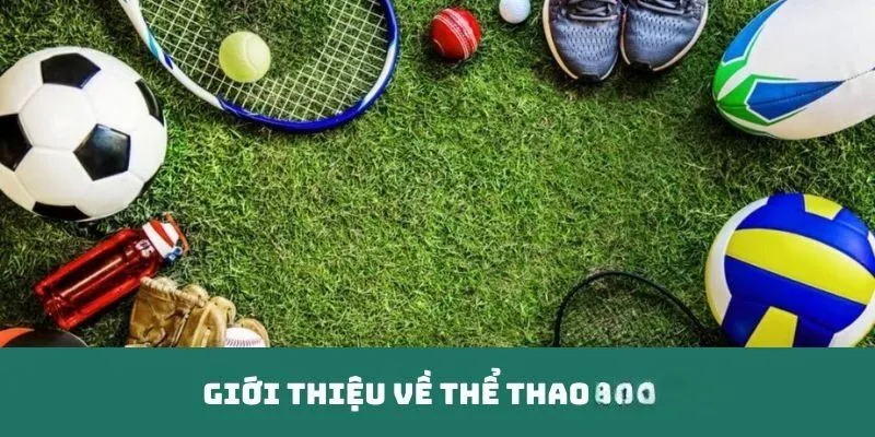 Giới thiệu về sảnh cược hot nhất 